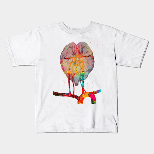 Brain and brainstem Kids T-Shirt by erzebeth